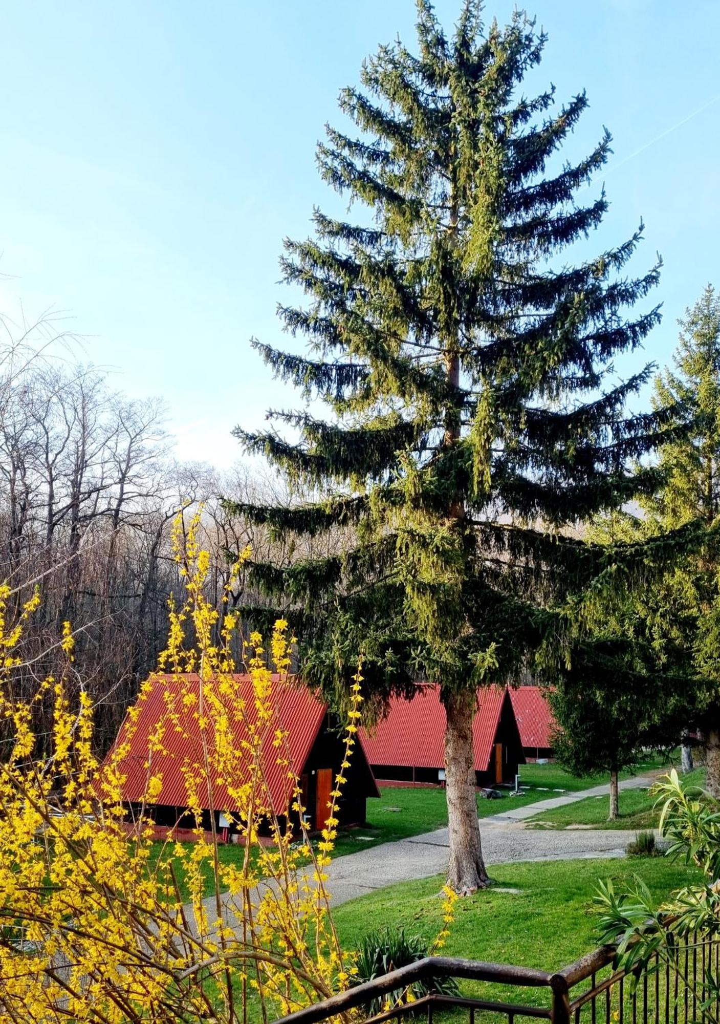 Záruby Resort Smolenice Exteriér fotografie